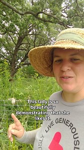 32 reactions | I love working on land restoring with the sheep! They...