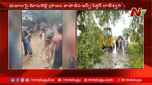 1.6K views · 19 reactions | Lady Inspector Saves Life of Constable After Tree Branch Falls on Him #NTVTelugu #NTVNews #NewsONline | Ntv Telugu | Facebook