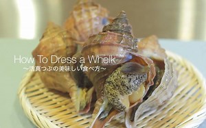 【日料刀工】海螺 刺身