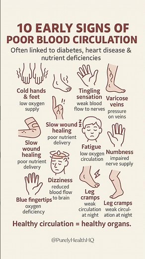 10 Early Signs of Poor Blood Circulation (Heart & Nerve Warning Signals)