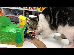 CAT vs GEOTRAX TRAIN