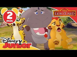 Magical Moments | The Lion Guard: A Sting In The Tail | ‪@disneykids‬
