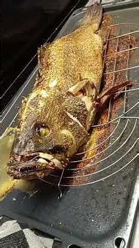 Grilled Grouper Fish in Greek /#grouperfish #giantfish #fishvideo #fishrecipe