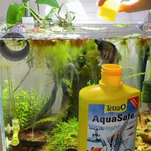 1.5K views · 25 reactions | “Thank you @tetrauk for this great...