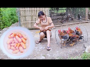 The girl castrated chickens by herself. Peaceful life / Living with nature. episode 71