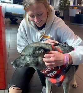 22 reactions · 4 comments | Brightside Animal Center on Reels | Facebook