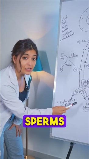 How Does the Body Make Testosterone?