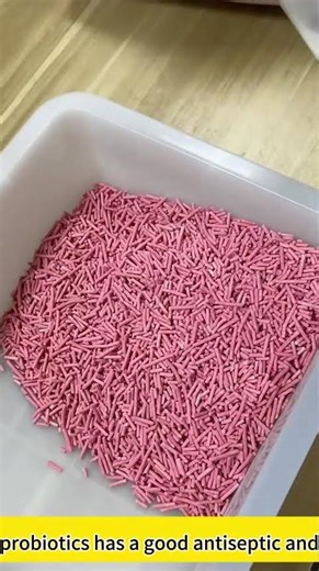 #jzypet #bestpetsupplies #cat