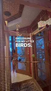 My first DIY project! My birds love it! Email me for plans theparrotladyidaho@gmail.com #bird #amazon #cockatiel #conure #birdcage #diy #project #construction #adoptdontshop #proud | The Parrot Lady