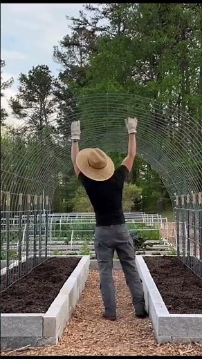 My Squash & Bean Tunnel for a Productive Vegetable Garden #permaculture #diy #vegetable garden