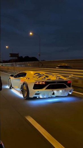 Why Dubai Police Use Supercars 😱