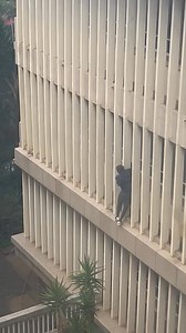 675K views · 2.7K reactions | Suspect escapes lawful custody at Johannesburg Court in Jeppe while appearing for his case. Suspect - Onoshana Thando Sadiki as per Cleveland Cas 96/01/2025 charged for House breaking and Theft. | Suburban Control Centre | Facebook