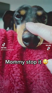 Mommy stop it! | Charlie’s Kingdom