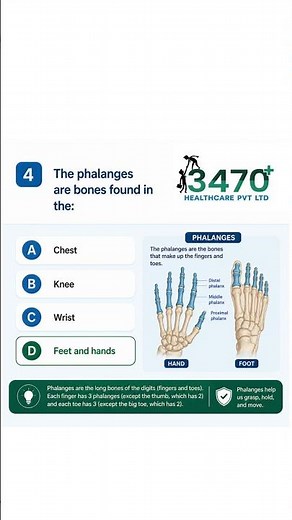 Anatomy & Physiology for Medical Coding | CPC Prep 🩺 Quiz | AAPC CPC Prep #3470healthcare #aapc