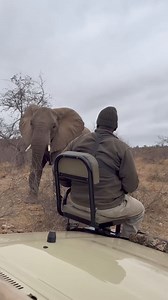 481K views · 1.8K reactions | 8 days Big 5 and gorilla Trekking The...