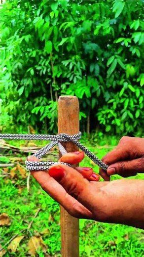 The Only Knot You’ll Ever Need 🔒