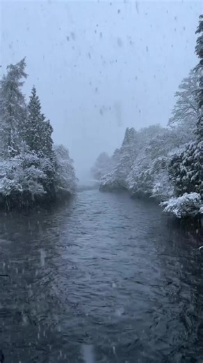 Find the Two Different Numbers Challenge