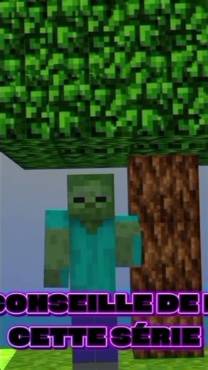 bande annonce de la chaîne MGcraft