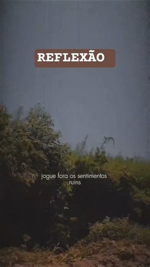 Seja paz, seja honestidade 🌿 #reflexão #paz #honestidade #boasenergias