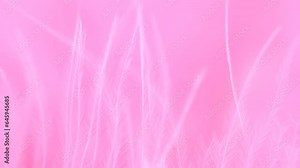Pink feather close-up. Selective focus, slow motion feather background. Macro. Pink fluffy background