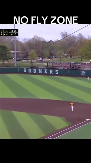 Incredible LSU Outfield Catches During Game Highlights