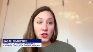 Exhibition of rarely seen fossils on display at Carnegie Museum of Natural History