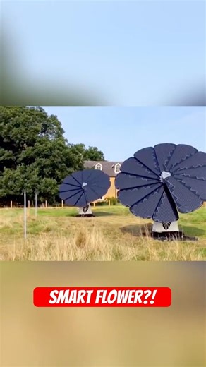This Flower Is Actually a Solar Panel