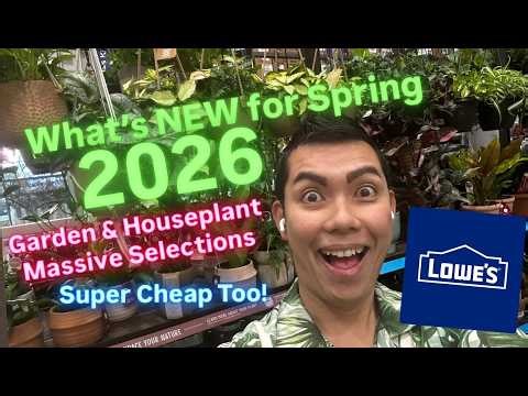NEW 2026 RELEASES! 🌿 Lowe’s Big Box Store Plant Shopping: RARE Finds & Budget Spring Garden Prep!