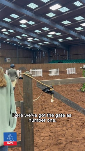 4.1K views · 30 reactions | The Association for British Working Equitation on Reels | Facebook