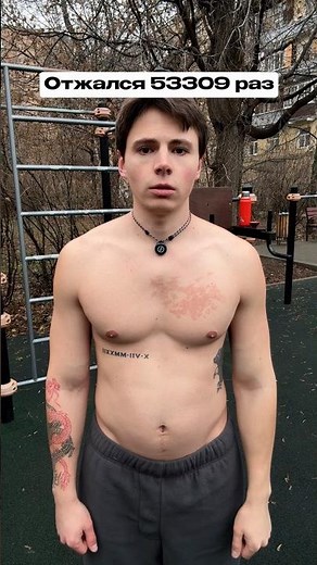 I did 53,309 push-ups 💪