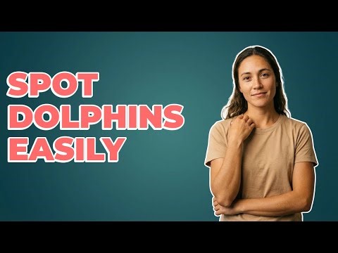What Is The Best Way To Watch Dolphins From Shore?