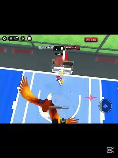 Uncle Sam showcase in basketball zero