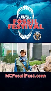1.5K views · 24 reactions | Step back in time with Dino Roar Live! at the 2025 NC Fossil Festival. Don't miss this prehistoric adventure!  Showtimes: Saturday, May 24: 1:00 PM & 4:00 PM Sunday, May 25: 11:00 AM & 3:00 PM See the schedule here: https://ncfossilfest.com/schedule/ #NCFossilFestival #NCFF25 #FossilFest2025 #AuroraNC #DigAurora #AuroraFossilMuseum #AFM #DigThePast | North Carolina Fossil Festival | Facebook