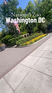 6.6K views · 73 reactions | Washington DC Zoo #smithsonianmuseum #zoo | 횄횗회횕횎 홱횊횛횒 | Facebook