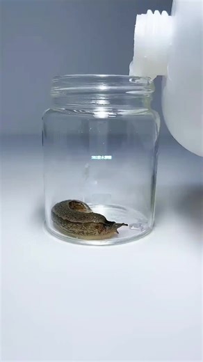 Super Glue Demo: Unique Slug Preservation Technique