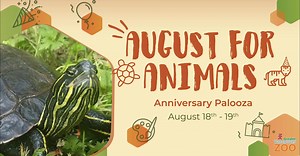 Greater Vancouver Zoo on Reels