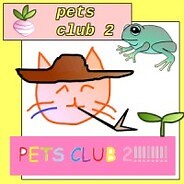 Steam Developer: pets club 2