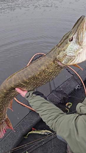 km handmade lures on TikTok