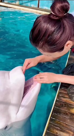 TikTok의 촛불처럼