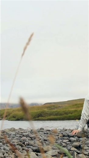 Start your day with peace 🌞 Begin with this calming meditation #MorningMeditation #Mindfulness