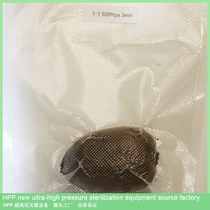[Hot Item] Sterilizer Machine Hpp Machine China Hpp Cold Pasteurize Hpp Machine for Juices