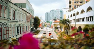 NCSS to expand role as sector developer