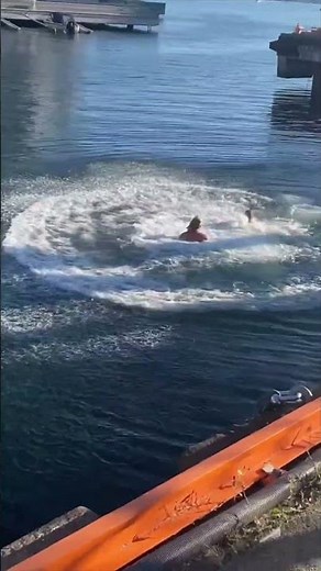 World's Highest Death-Dive!? #Shorts