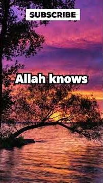 Are You Crying Alone? This Is for You