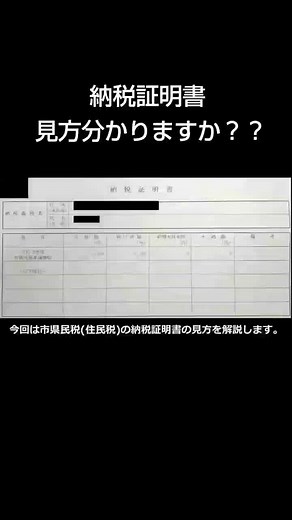 納税証明書の見方を詳しく解説