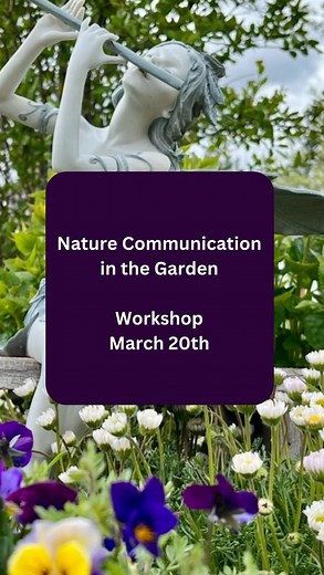 3.7K views · 114 reactions | Live Online Workshop (Zoom w/ recording)...