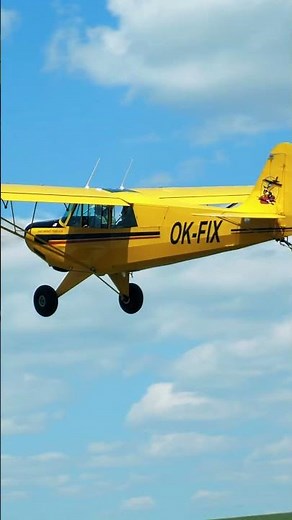 Aviat Aircraft Husky A-1A | TAKE OFF, LOW FLYBY and LANDING #airplane #aircraft #aviationcz