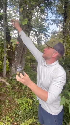 Crab Apple 🍎🍏🍎 Spray #hunting #whitetail #diy | Scent Blender