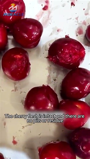 Fruit Pitting Machine| Cherry Pitter: See how it cleanly removes cherry pitting