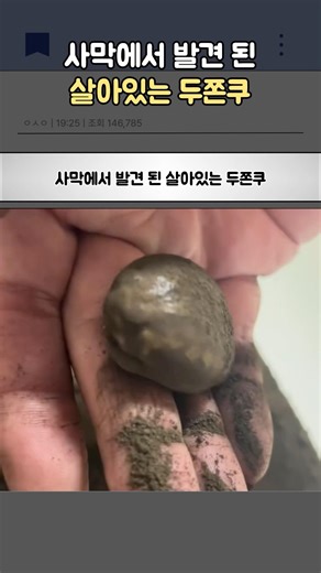 A living Dujonku found in the desert